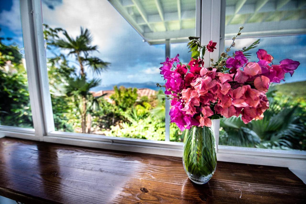 Papaya Suite At Sunset Serenade Cruz Bay Extérieur photo